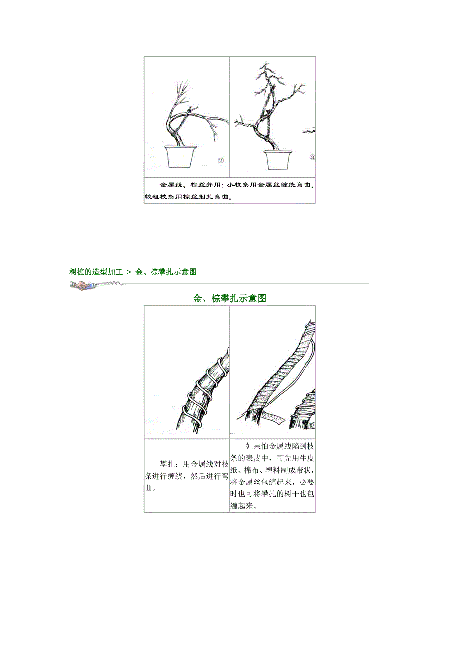 棕丝攀扎示意图.doc_第4页