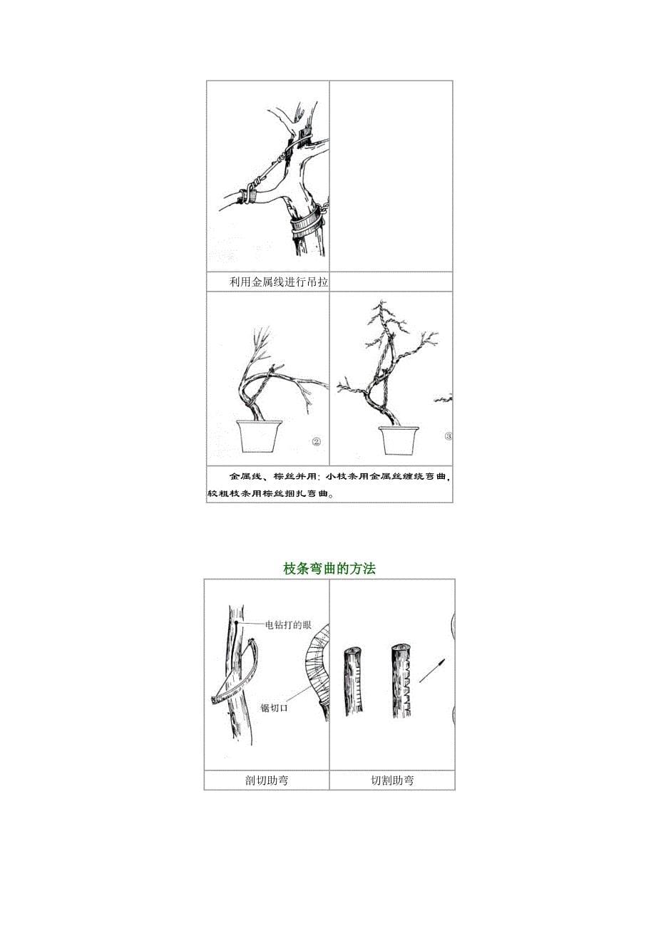 棕丝攀扎示意图.doc_第5页