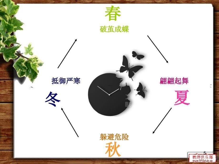 《蝴蝶时钟》PPT_第5页