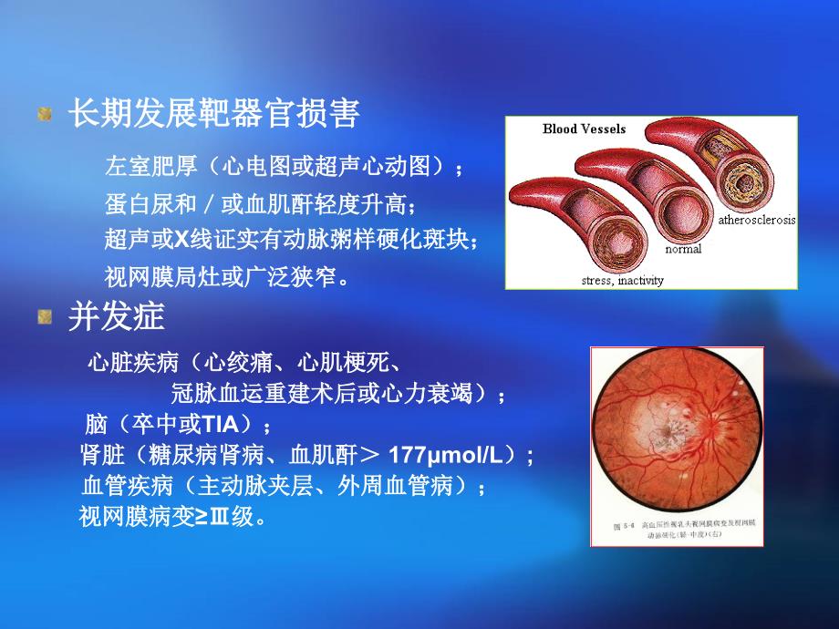 抗高血压药物的器官保护作用_第3页