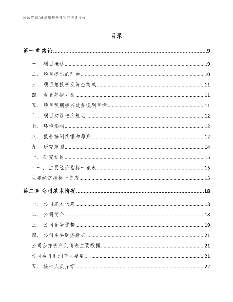 蚌埠磷酸铁锂项目申请报告【模板参考】_第1页