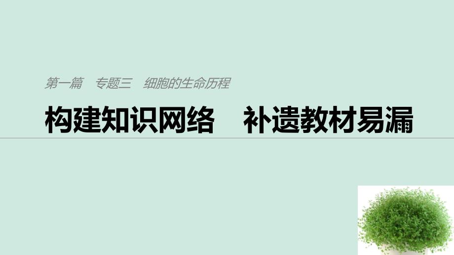 （通用版）2019版高考生物二轮复习 专题三 细胞的生命历程 构建知识网络 补遗教材遗漏课件_第1页