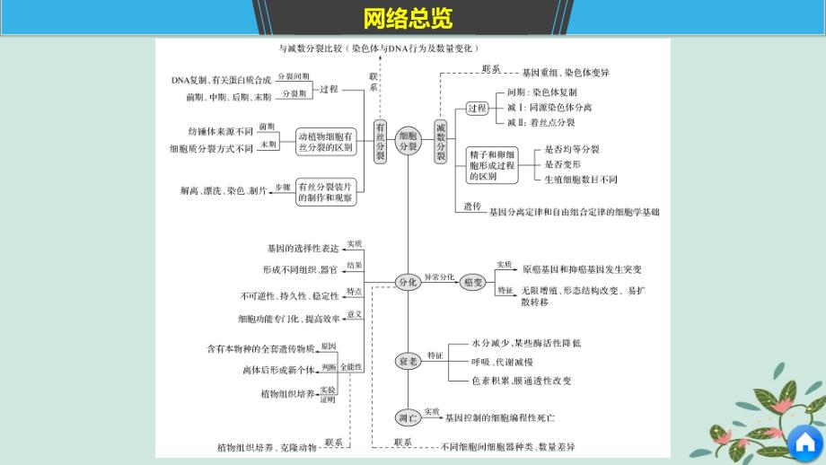 （通用版）2019版高考生物二轮复习 专题三 细胞的生命历程 构建知识网络 补遗教材遗漏课件_第4页