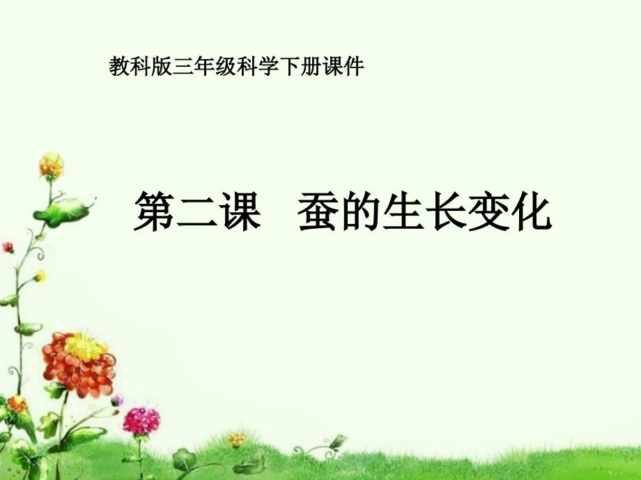 教科版三年级科学下册 蚕的生长变化 课件_第2页