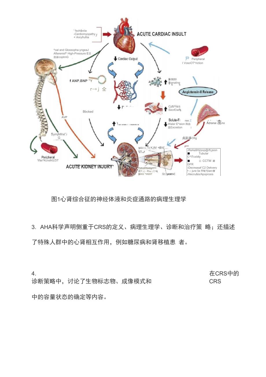 2019 AHA科学声明：心肾综合征的分类病理生理学诊断和治疗策略_第3页