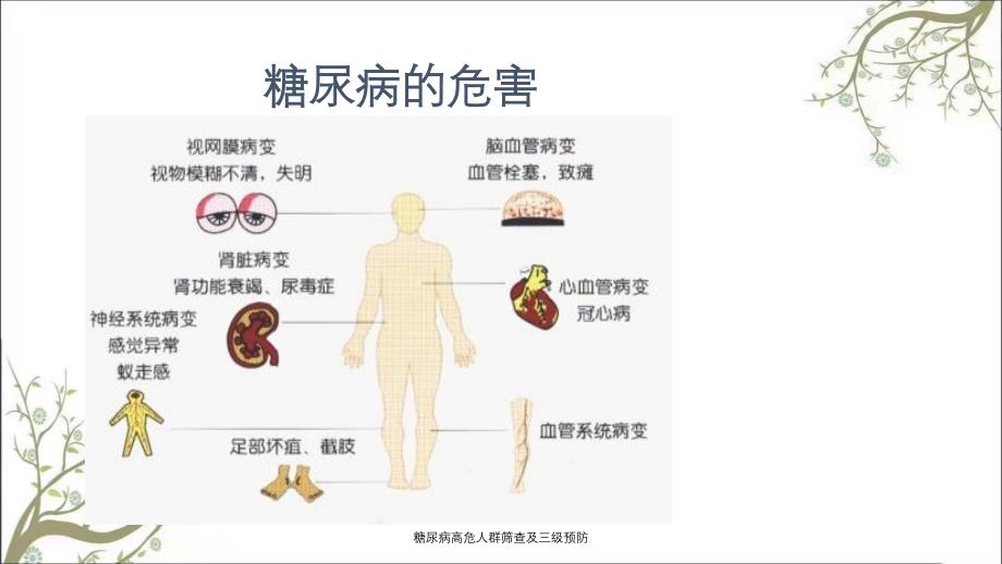 糖尿病高危人群筛查及三级预防_第3页