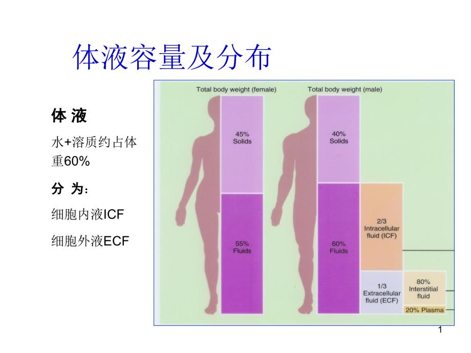 临床技能考核考前培训之三水电紊乱_第1页