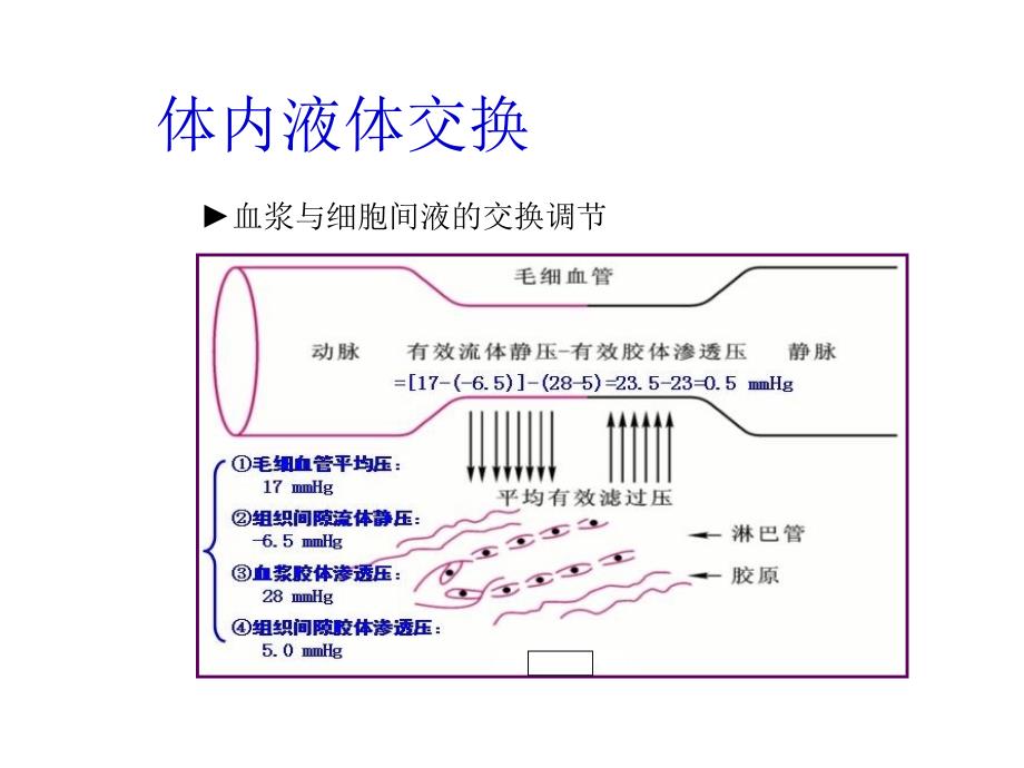 临床技能考核考前培训之三水电紊乱_第3页