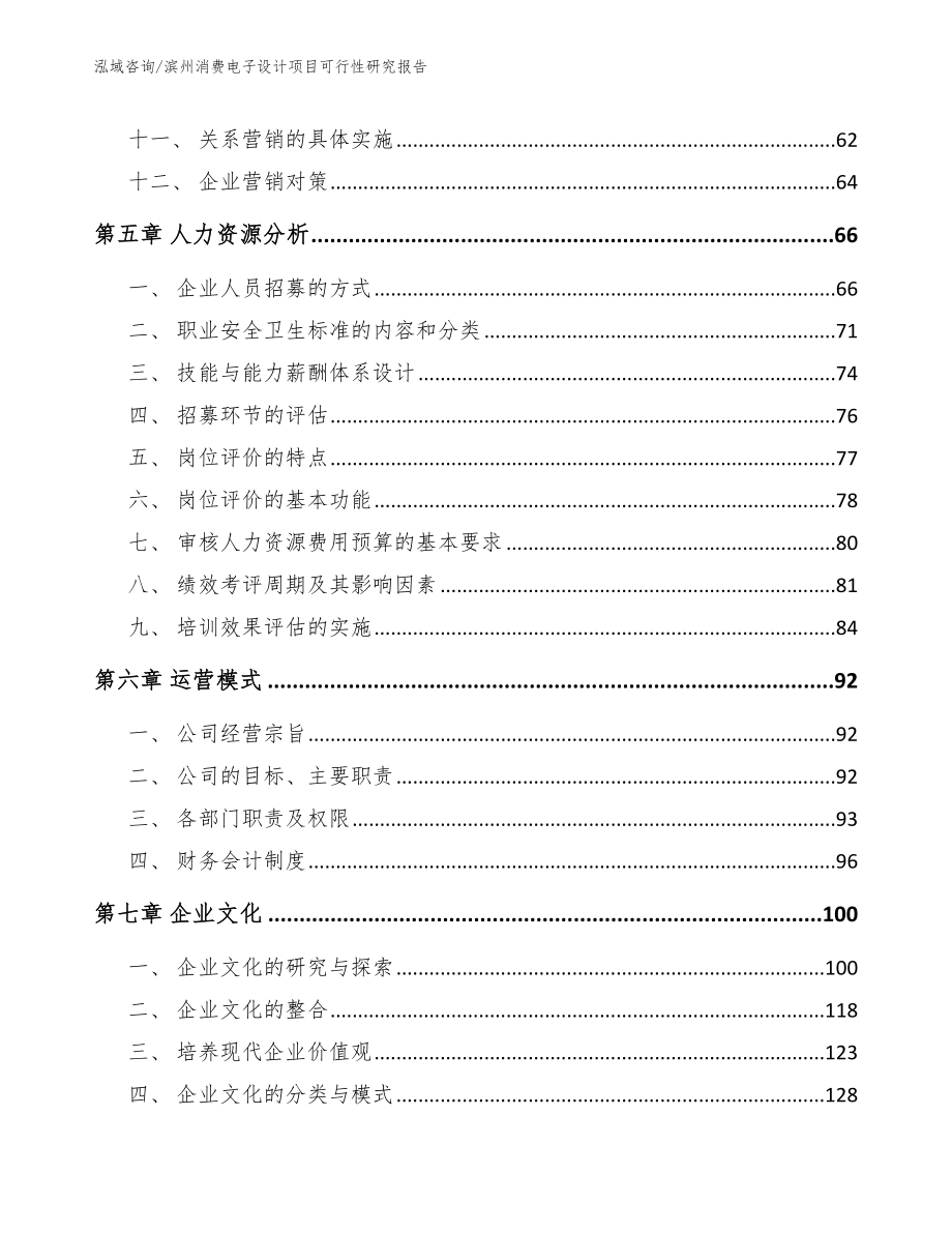 滨州消费电子设计项目可行性研究报告（参考范文）_第4页