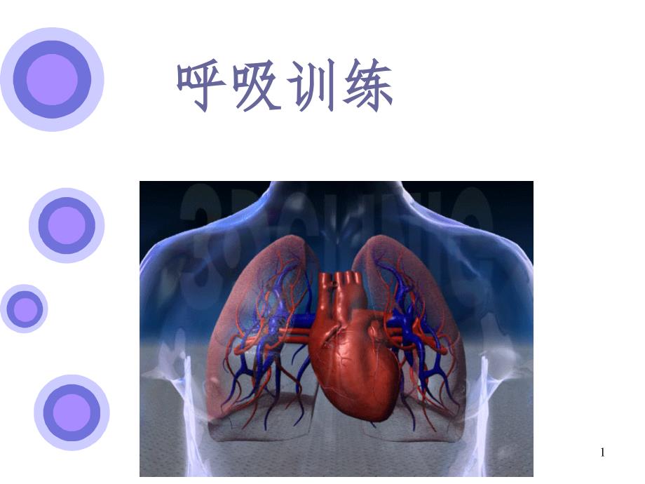 16 心肺功能训练(课堂PPT)_第1页