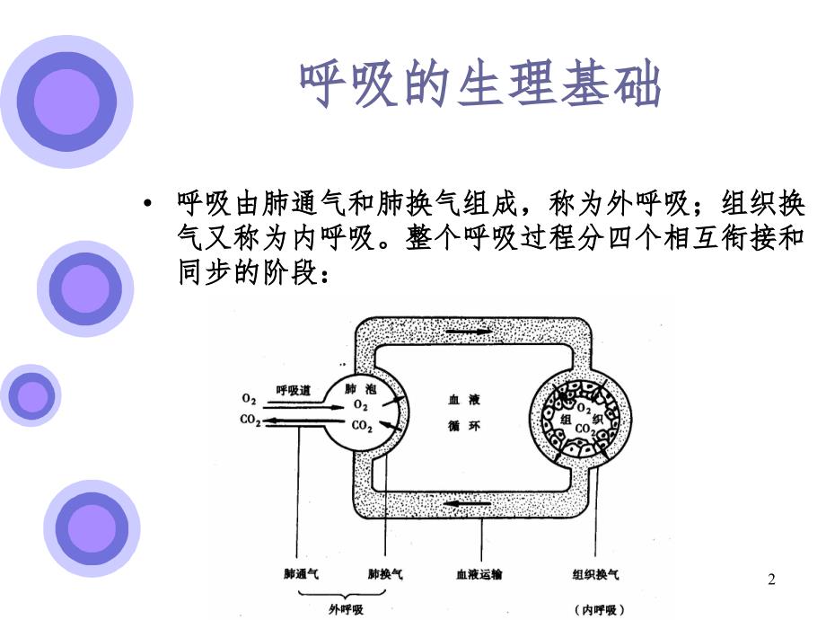 16 心肺功能训练(课堂PPT)_第2页