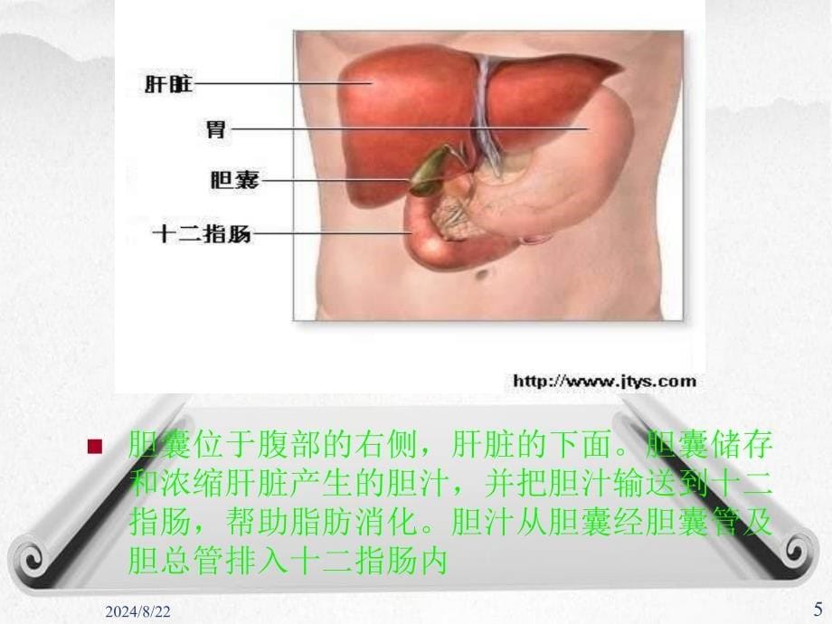 《胆囊结石伴胆囊炎》课件_第5页