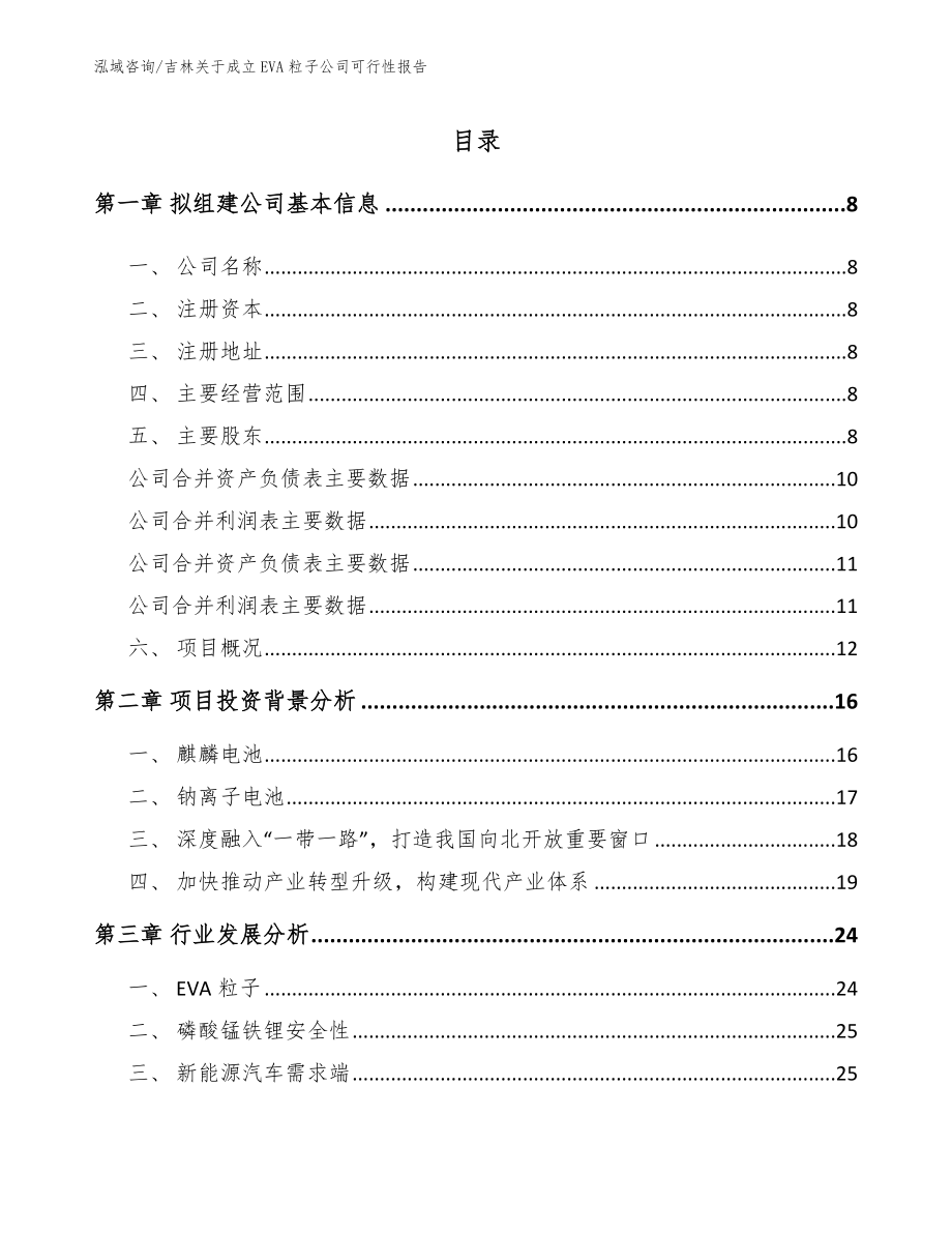 吉林关于成立EVA粒子公司可行性报告_第2页