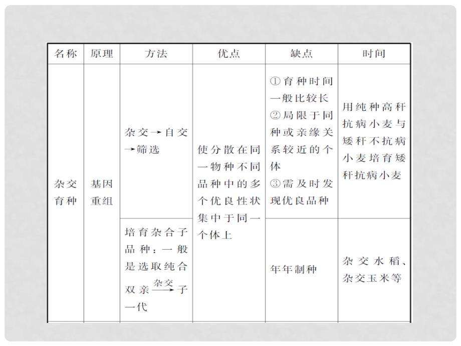 高中生物第1轮总复习 第12讲 从杂交育种到基因工程课件 湘教版必修2（湖南专版）_第4页