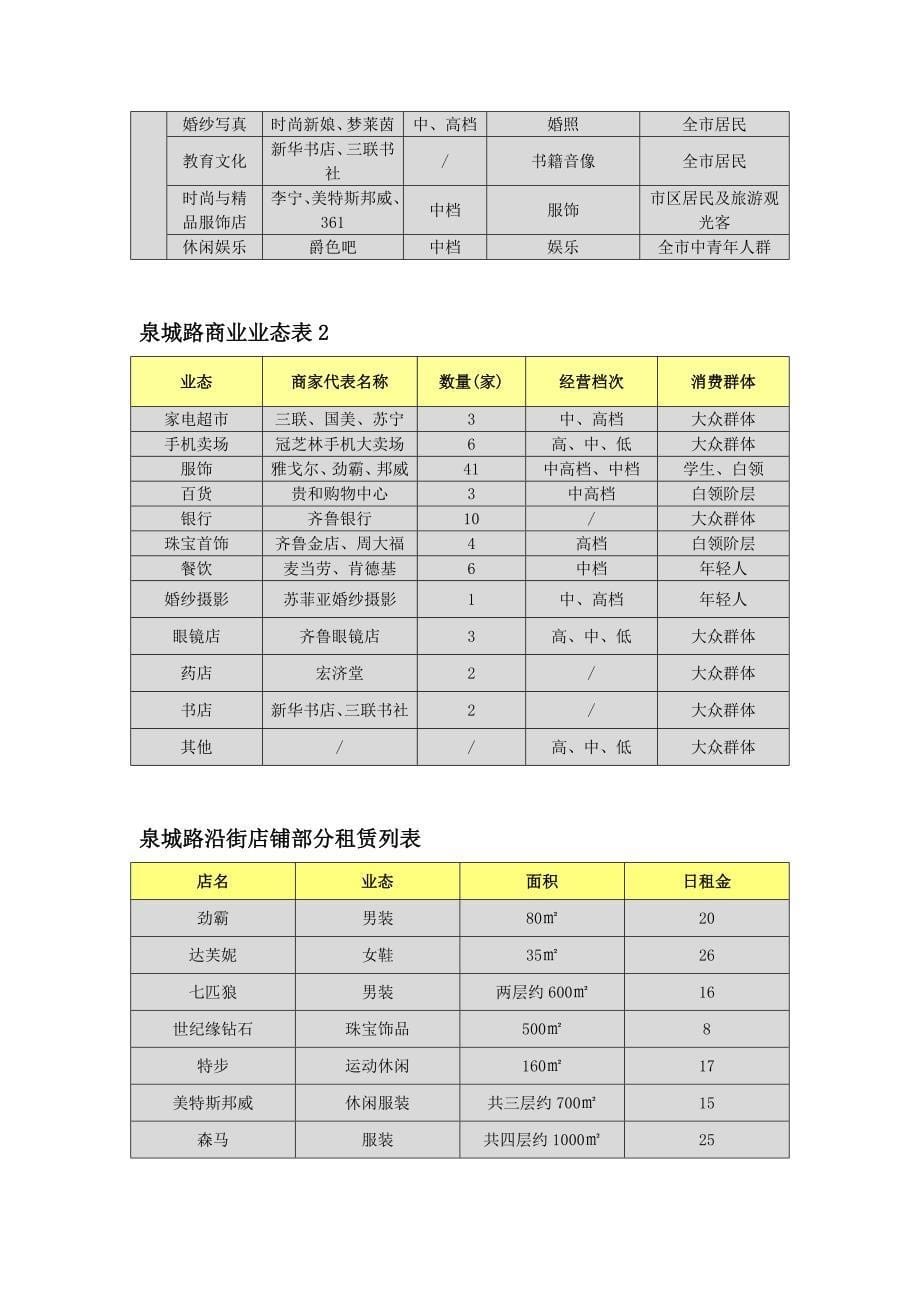 泉城路商圈调研汇总_第5页