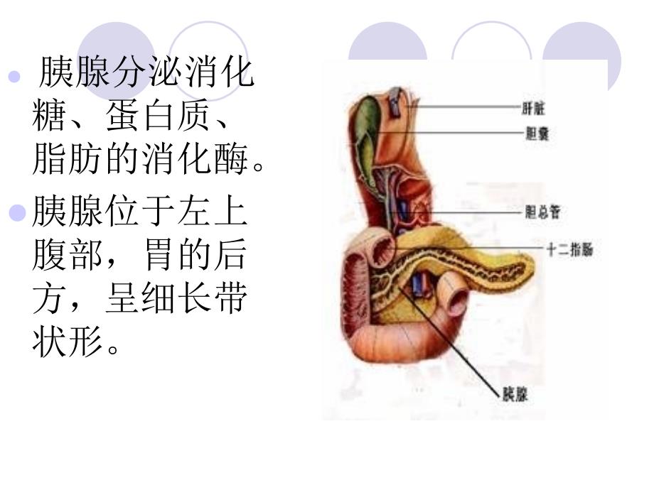 重症胰腺炎并发ARDS_第2页