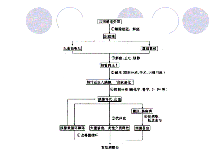 重症胰腺炎并发ARDS_第4页