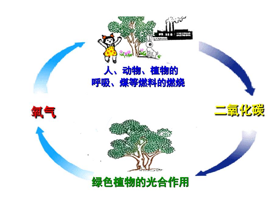 九年级化学上册 第六单元 碳和碳的氧化物 课题3 二氧化碳和一氧化碳（第1课时）课件 （新版）新人教版_第3页