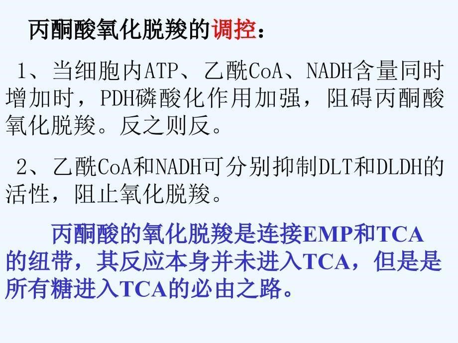 三羧酸循环TCA_第5页