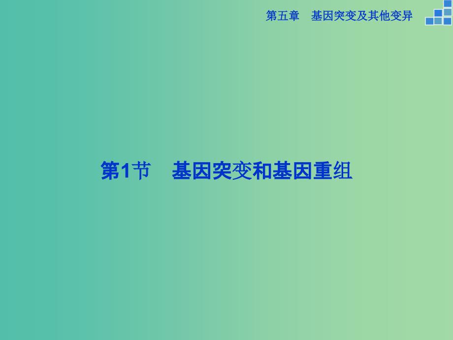 高中生物 第五章 基因突变及其他变异 第1节 基因突变和基因重组课件 新人教版必修2.ppt_第2页