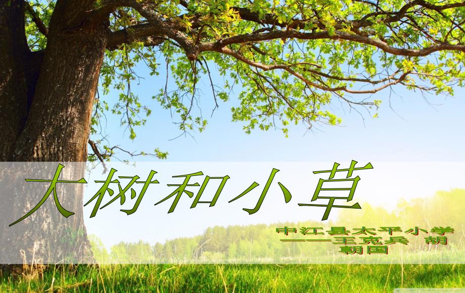 大树和小草课件太平_第1页