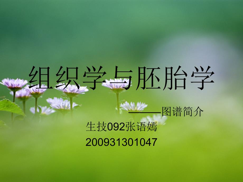 组织学与胚胎学图片集_第1页