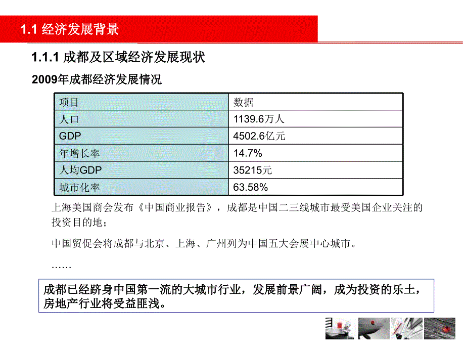 704443506成都双流东升镇市场研究报告103p_第3页