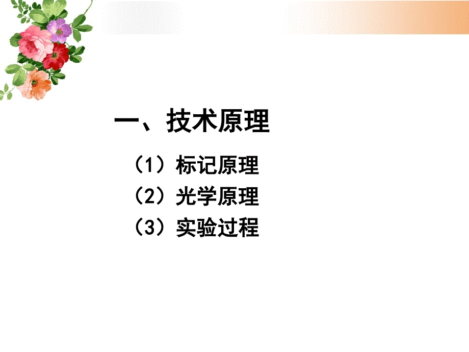 生物发光原理及应用_第4页