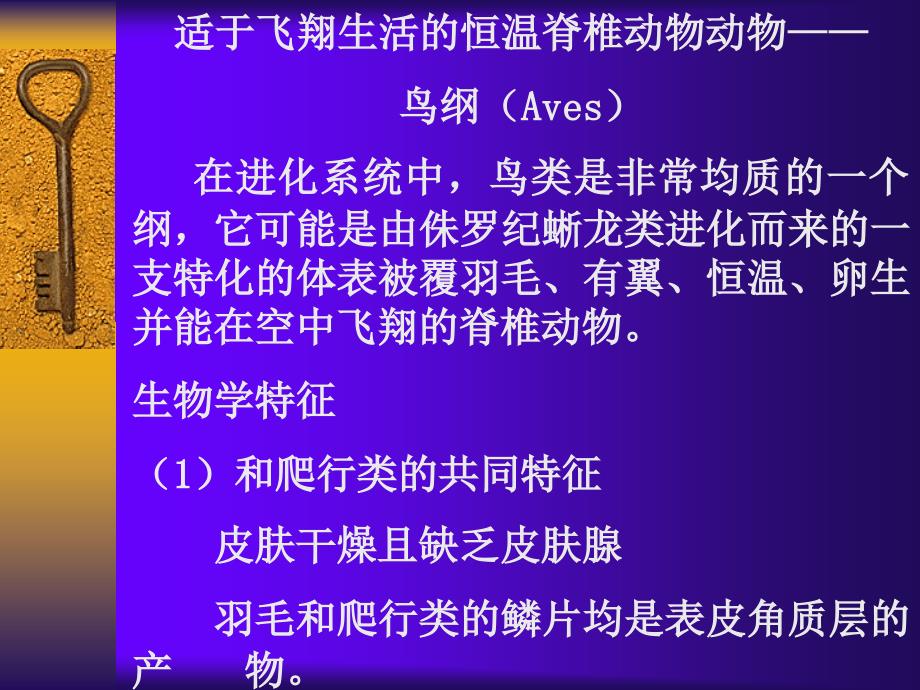 适于飞翔生活的恒温脊椎动物动物——鸟纲Aves在进化_第1页