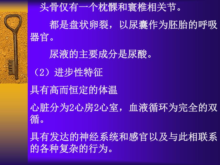 适于飞翔生活的恒温脊椎动物动物——鸟纲Aves在进化_第2页