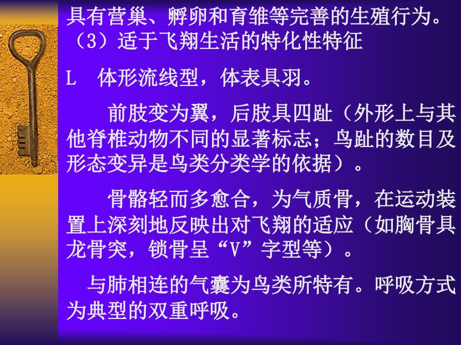 适于飞翔生活的恒温脊椎动物动物——鸟纲Aves在进化_第3页