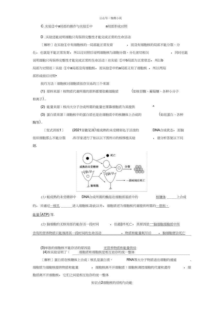 2020年秋生物一同步名师导学讲义：第三章细胞的基本结构第3节细胞核——系统的_第5页