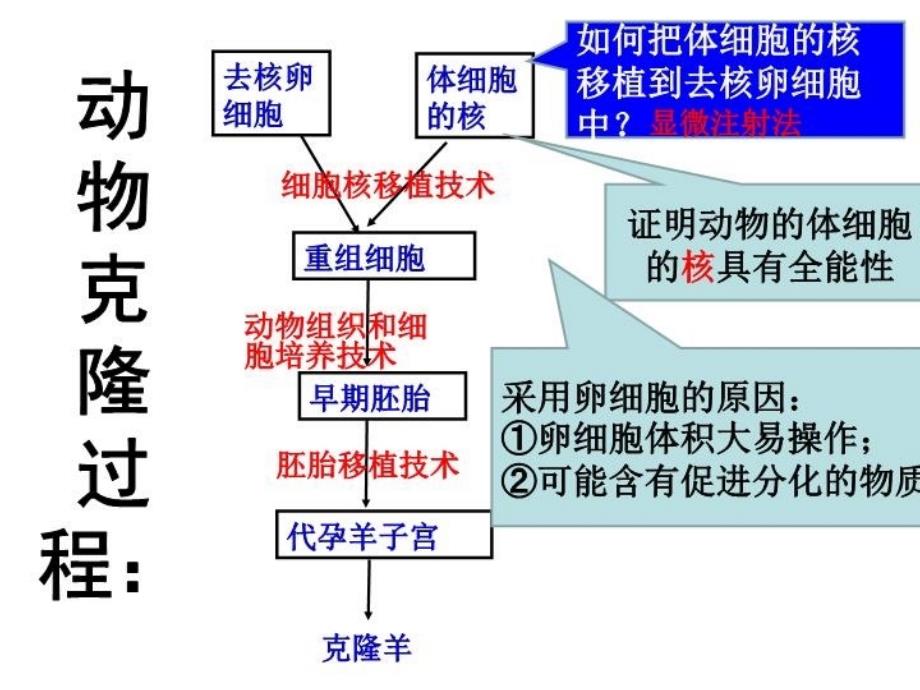 上海生物沪教版等级考动物细胞工程教学内容_第3页