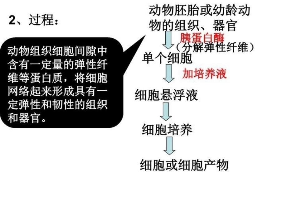 上海生物沪教版等级考动物细胞工程教学内容_第5页