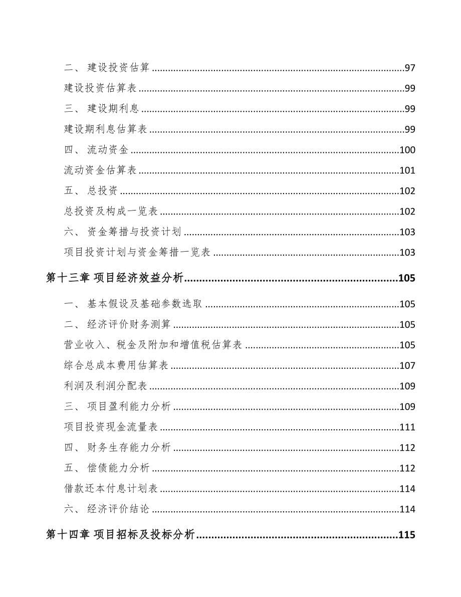 某汽车电子项目可行性研究报告(DOC 91页)_第5页