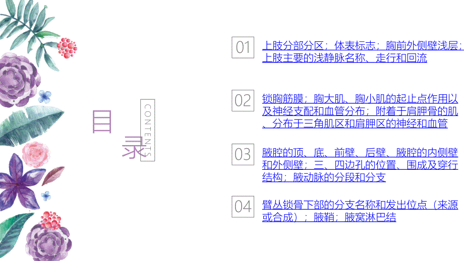 局部解剖学上肢1胸前外侧壁浅层和腋区_第2页