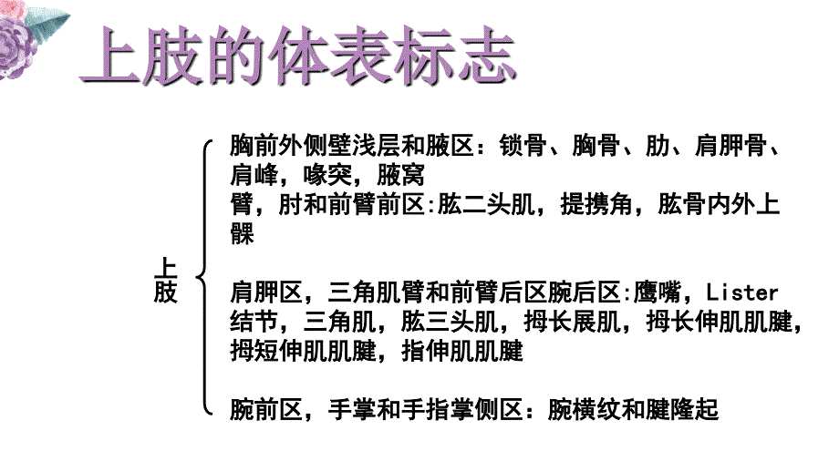 局部解剖学上肢1胸前外侧壁浅层和腋区_第4页