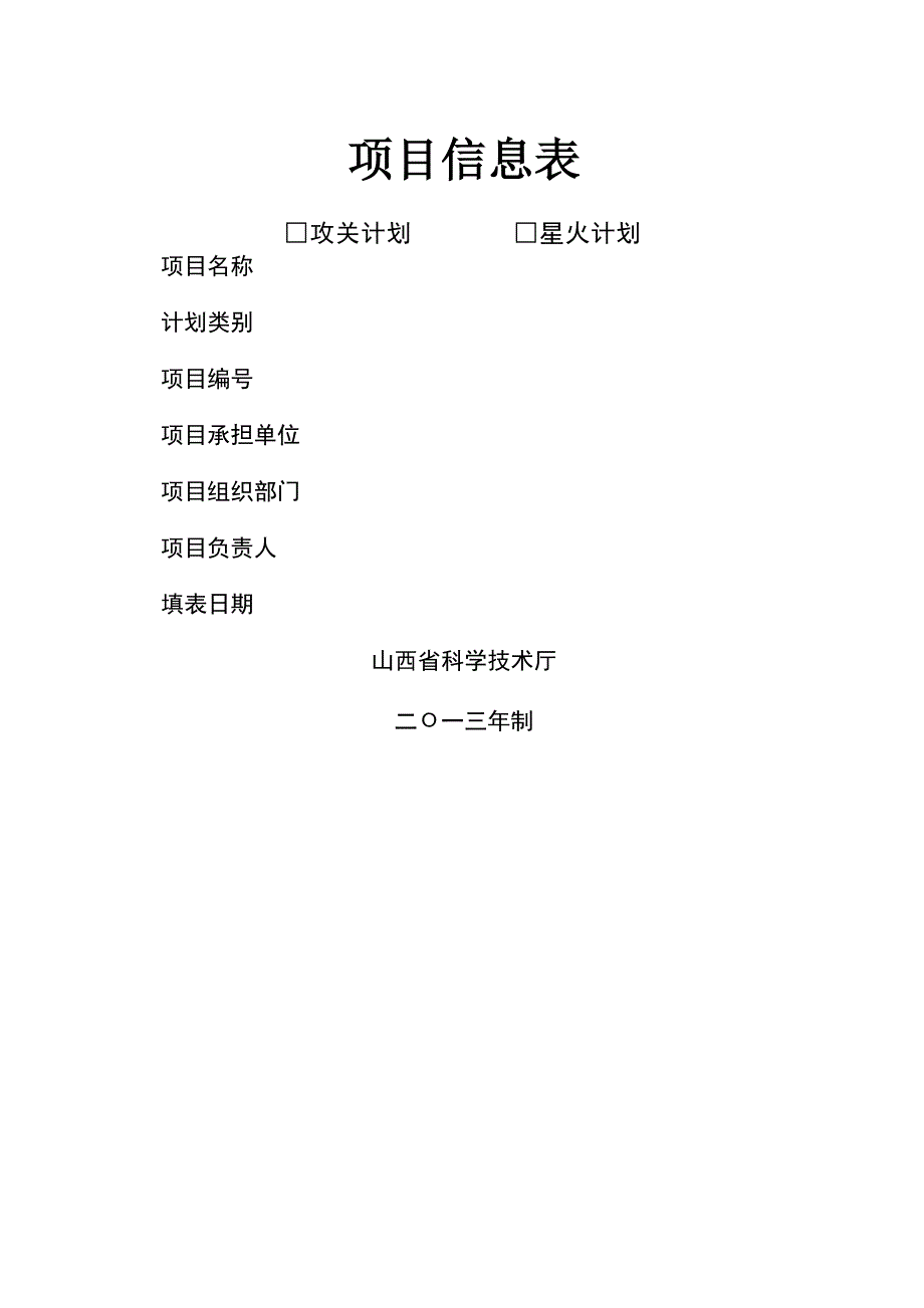 《项目信息表》word版_第1页