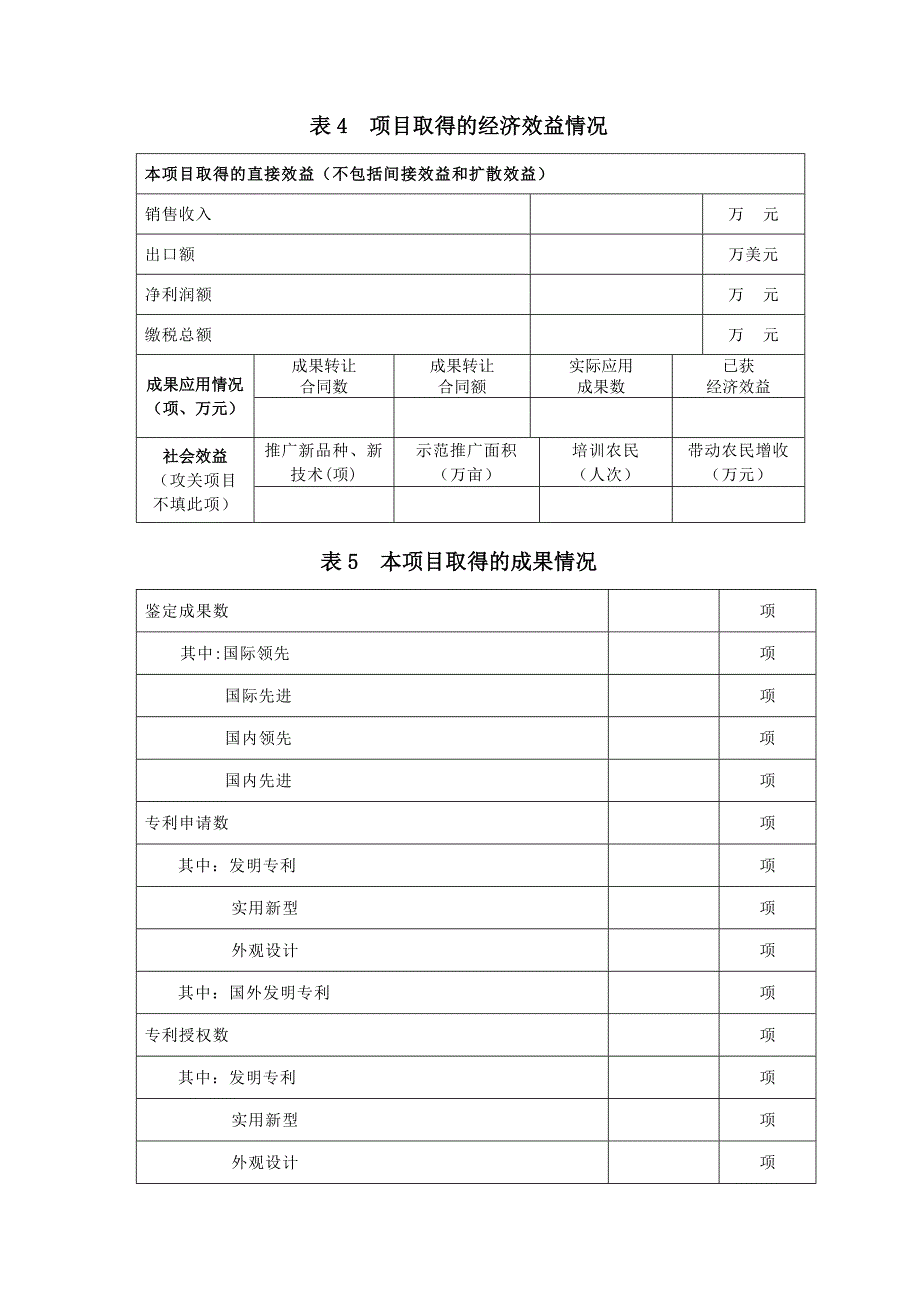 《项目信息表》word版_第5页