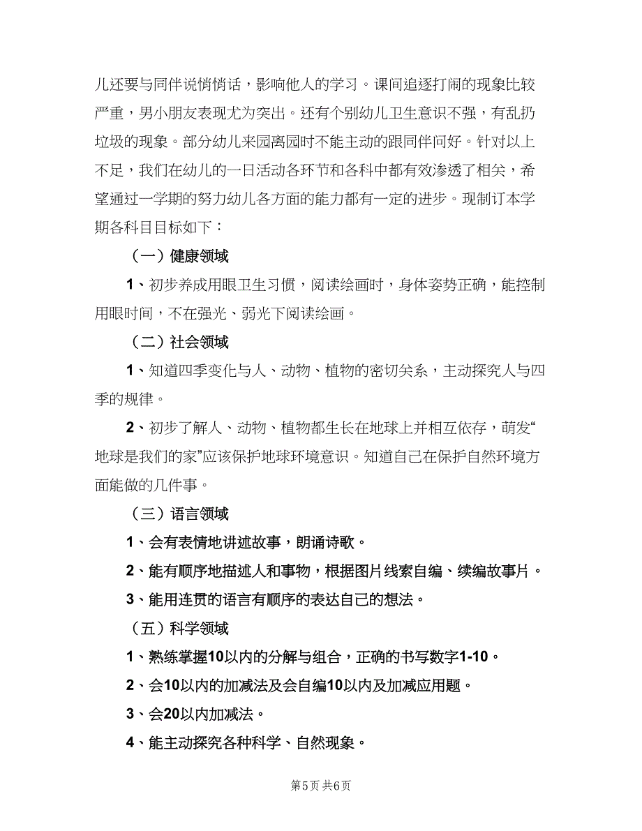 幼儿园大班个人教学工作计划（二篇）.doc_第5页