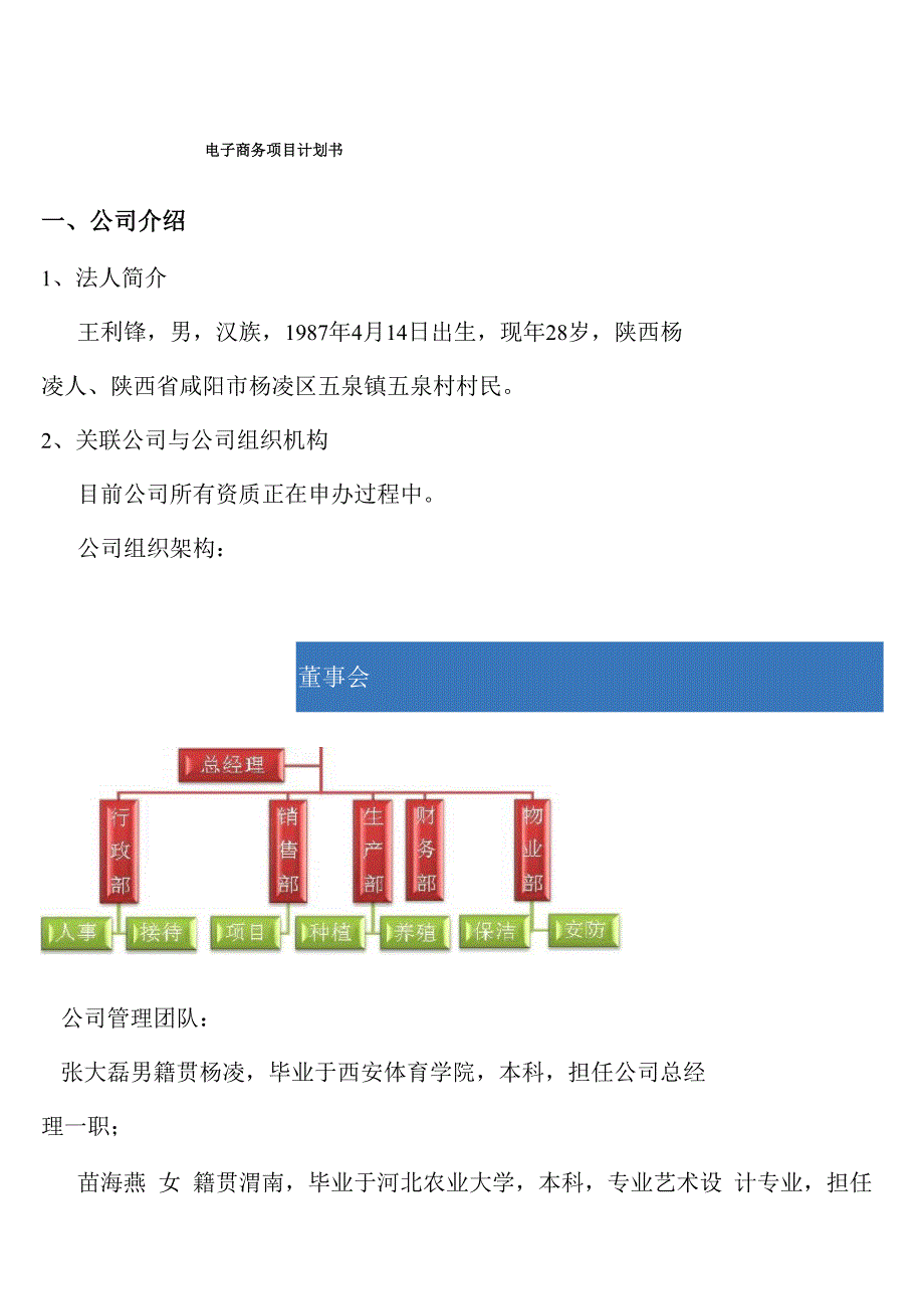 电商项目计划书_第1页