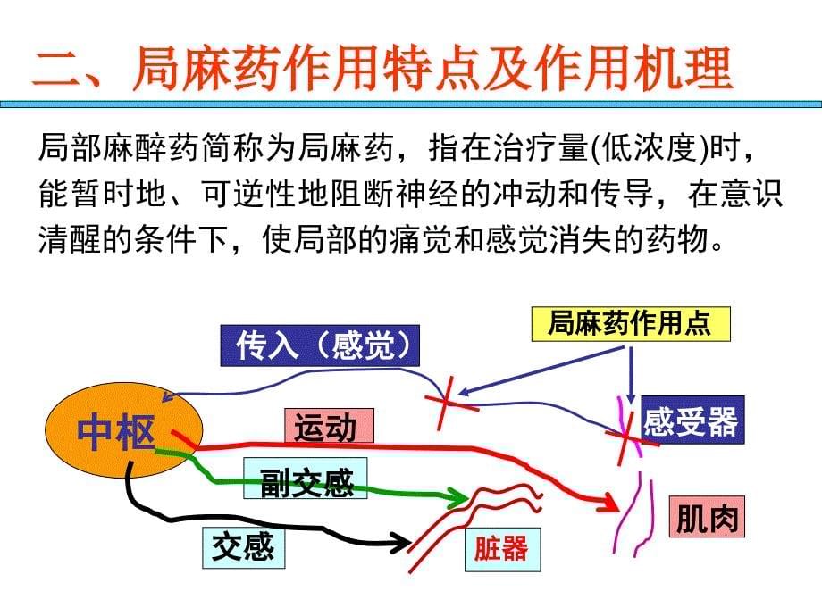 作用于传入神经系统药物_第5页