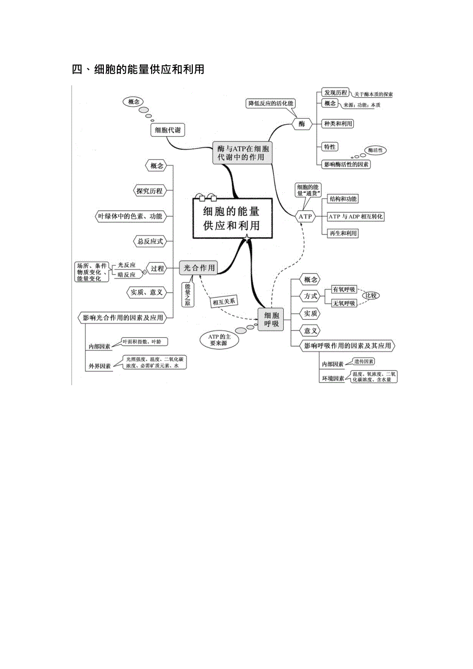 (完整版)新课标高中生物全套思维导图(最新整理)_第4页