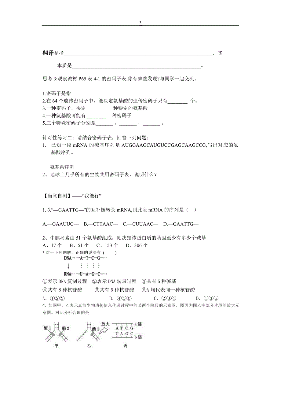 基因指导蛋白质的合成导学案_第3页