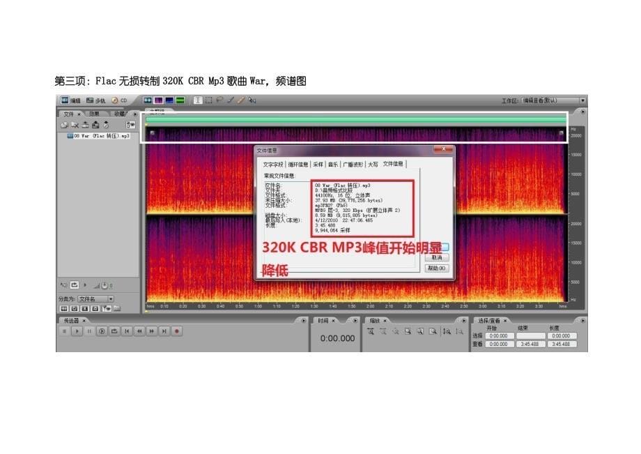 各类音质对比及建议.docx_第5页