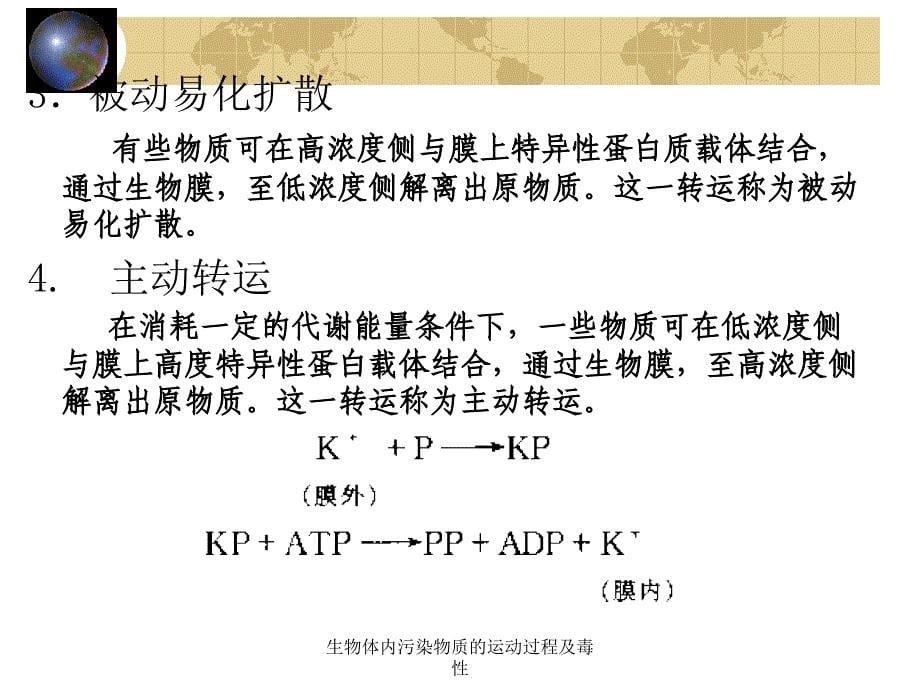 生物体内污染物质的运动过程及毒性课件_第5页