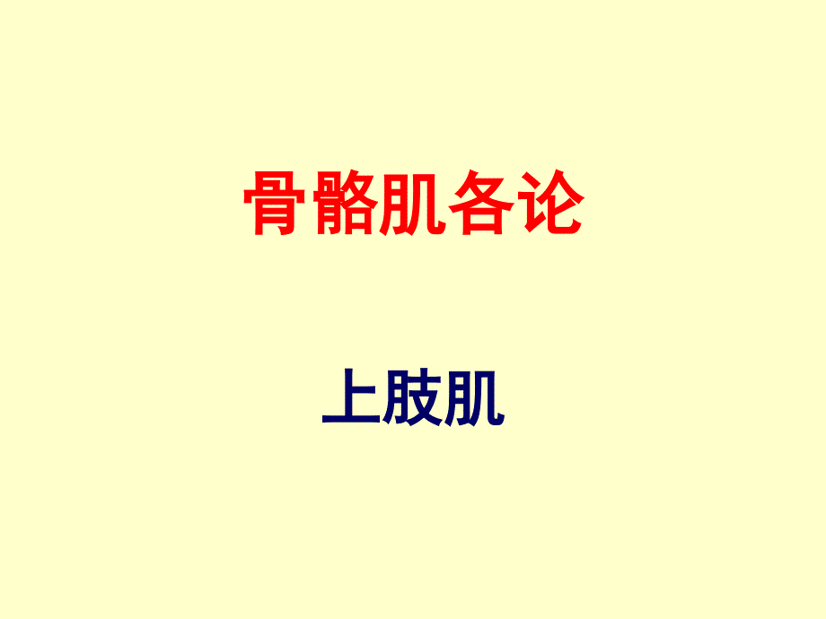 《运动解剖学》教学课件：13上肢肌_第4页