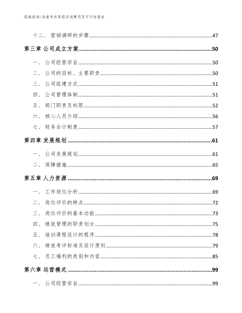 洮南市共享经济消费项目可行性报告【模板范本】_第3页
