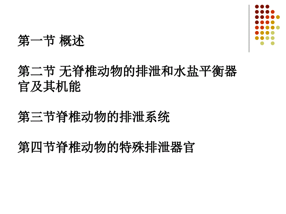 动物的排泄和体内水盐平衡课件_第2页