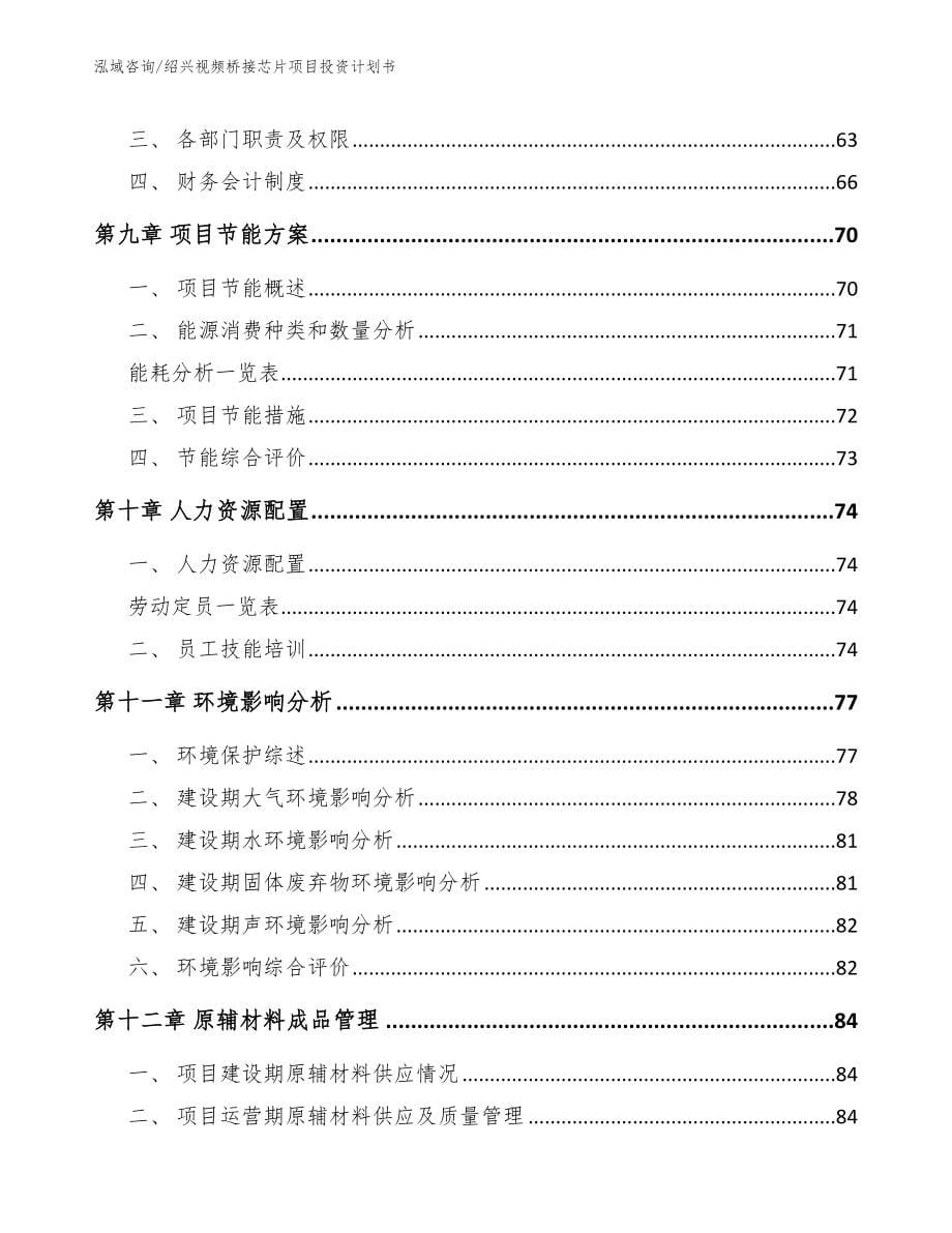 绍兴视频桥接芯片项目投资计划书模板范本_第5页